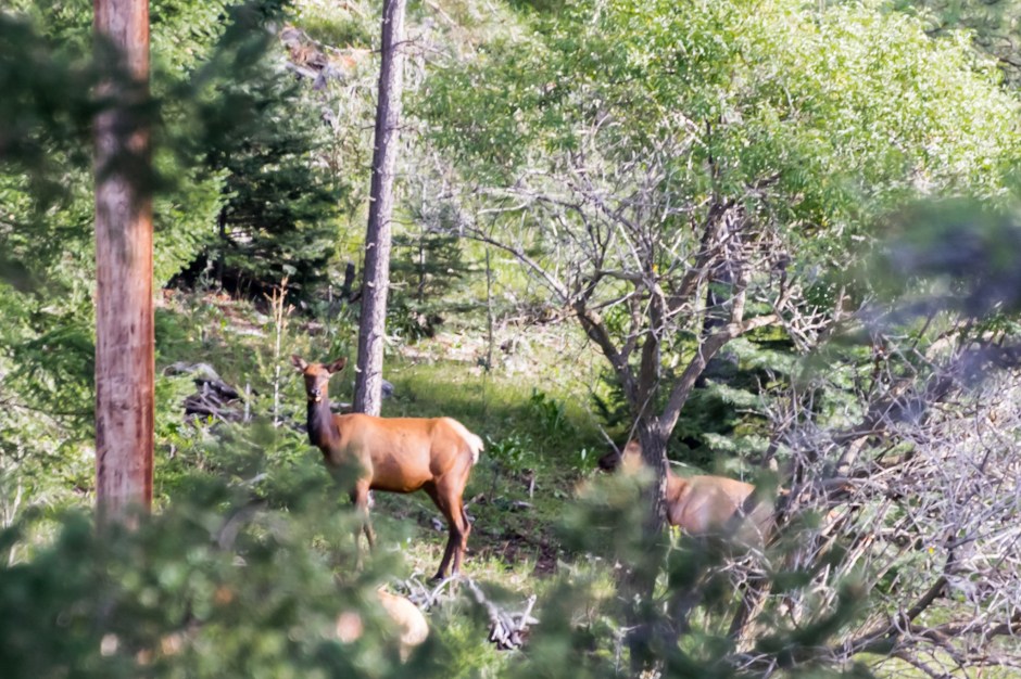 2908-2017-10046651084849503