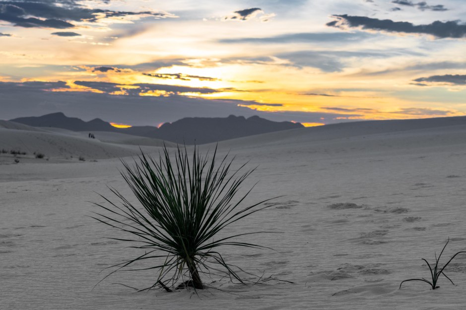 White Sands20170809-8