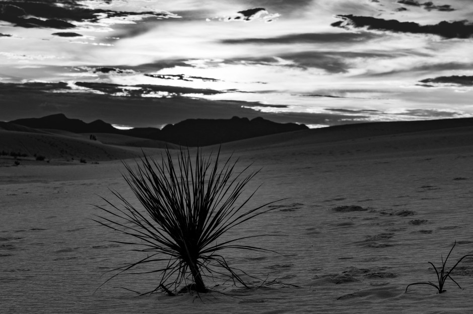 White Sands20170809-9