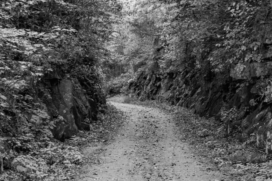 Tunnel Hill Ride20170915-11