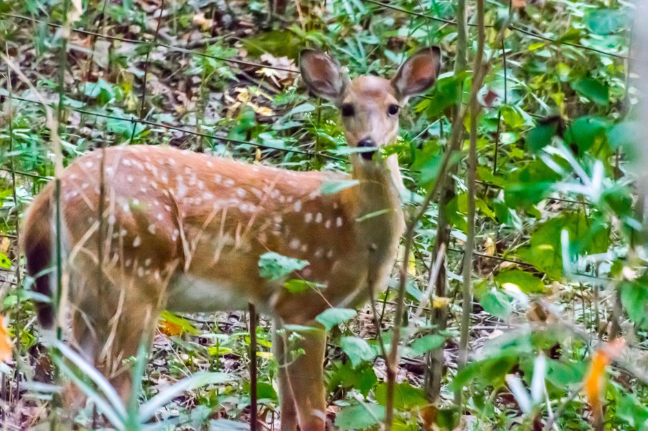 Tunnel Hill Ride20170915-18-Edit