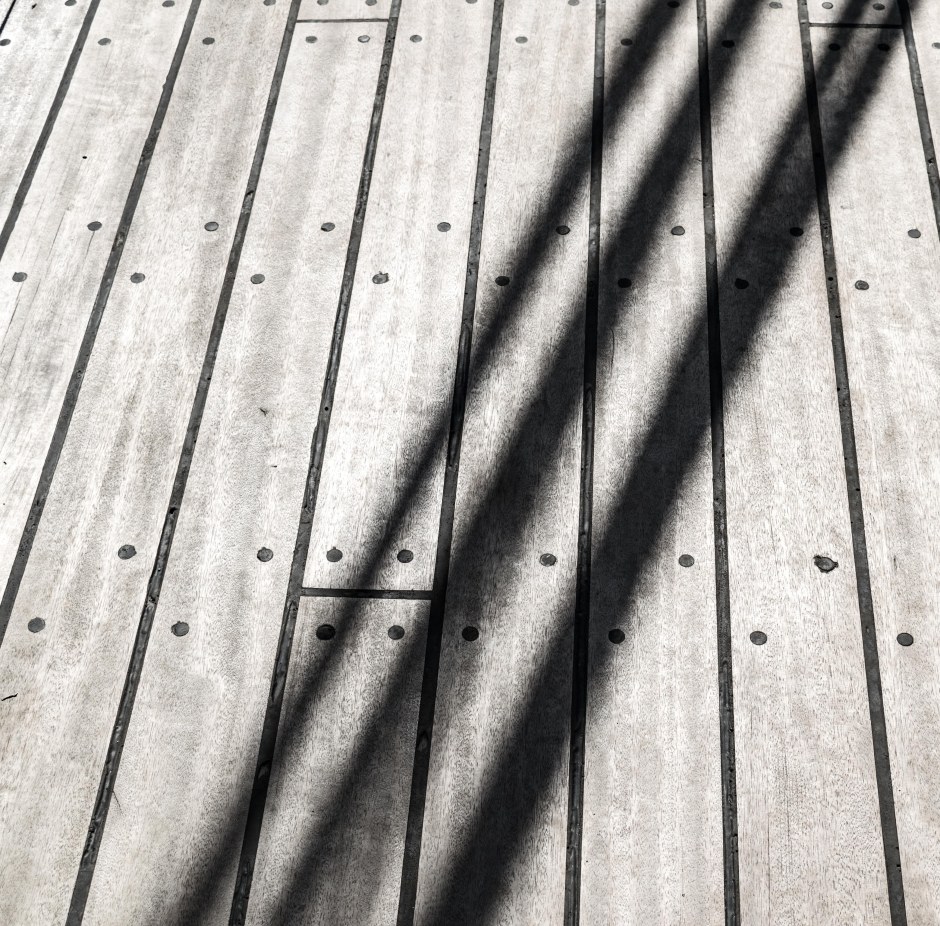 Nina and Pinta20171002-30